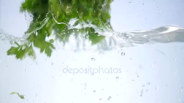 Bund Petersilie fällt vereinzelt ins Wasser — Stockvideo