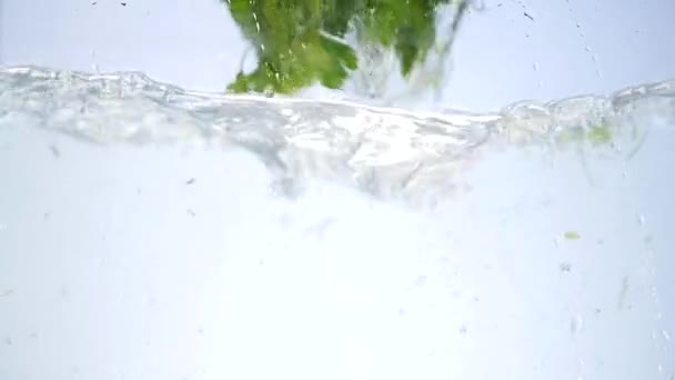 Manojo de perejil aislado cayendo en el agua — Vídeos de Stock
