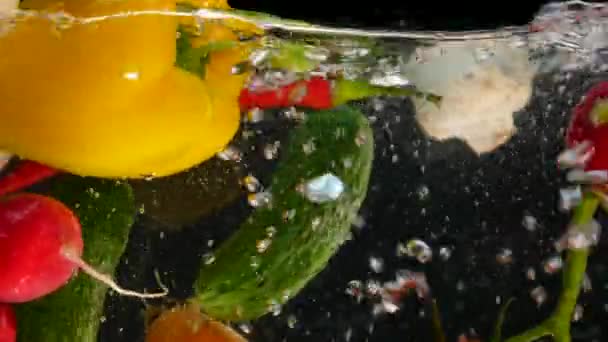 Verse groenten vallen met water op zwarte achtergrond — Stockvideo