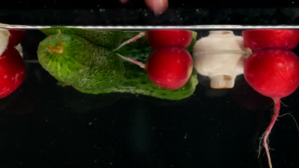 Verduras frescas que caen con agua sobre fondo negro — Vídeos de Stock