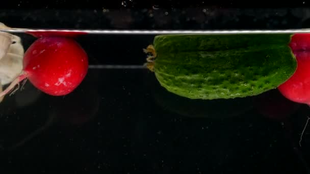 Frisches Gemüse fällt mit Wasser auf schwarzem Hintergrund — Stockvideo