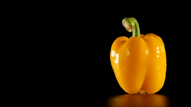 Yellow bell pepper on a black background — Stock Video