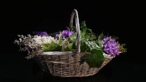 Pequeñas flores moradas en una cesta de mimbre giran aisladas sobre un fondo negro — Vídeo de stock