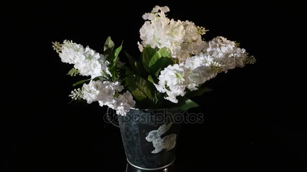 Lilac in a white vase rotate on a black background — Stock Video