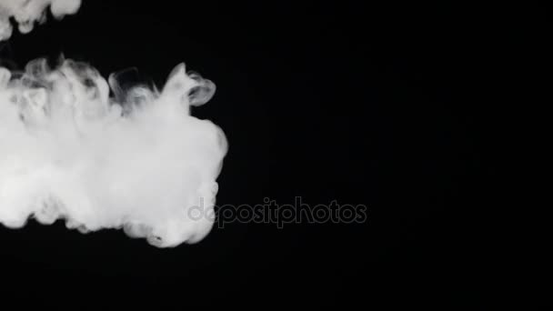 Белый дым плавает на черном фоне — стоковое видео