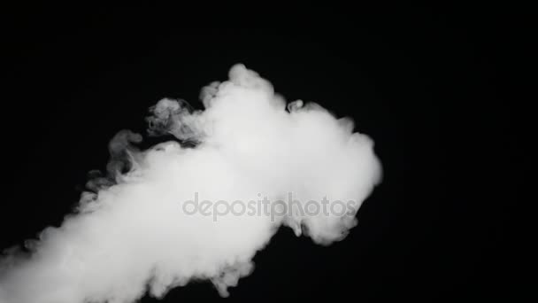 Bianco fumo galleggia su sfondo nero — Video Stock
