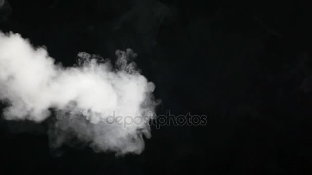 Λευκό καπνό επιπλέει πάνω από το μαύρο φόντο — Αρχείο Βίντεο