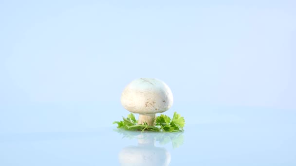White mushrooms on white background — Stock Video