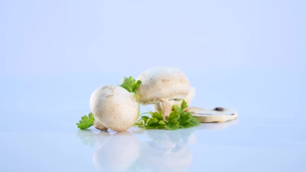 Cogumelos brancos no fundo branco — Vídeo de Stock