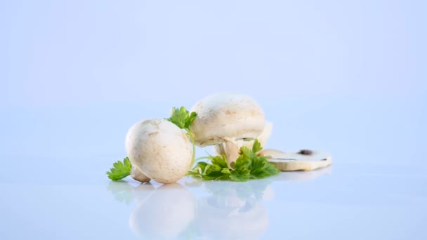 Champignons blancs sur fond blanc — Video