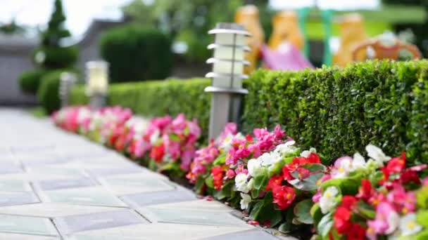 Cama de flores con flores iluminadas por linternas solares de ahorro de energía a lo largo del camino Calzada en el patio que va a la casa — Vídeo de stock