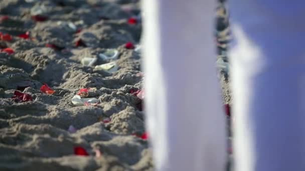 Pareja casada caminando en una playa de arena — Vídeo de stock