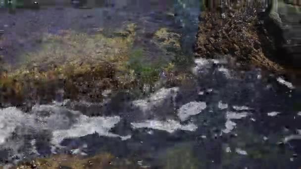 Deniz taşları karşı frenleme ve çakıl bir plajda, saf su dalgaları — Stok video