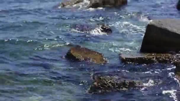 Zee remmen tegen stenen en kiezels op een strand, golven van zuiver Water — Stockvideo