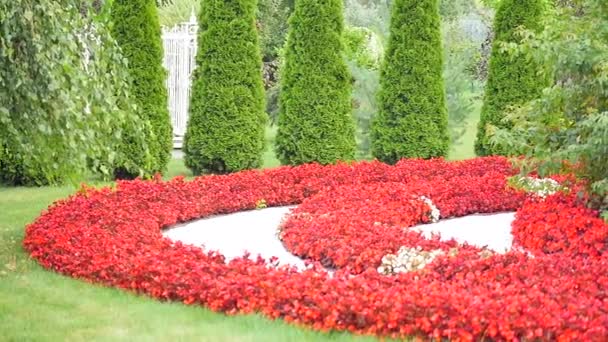 Beautiful summer garden with a walkway winding its way through — Stock Video