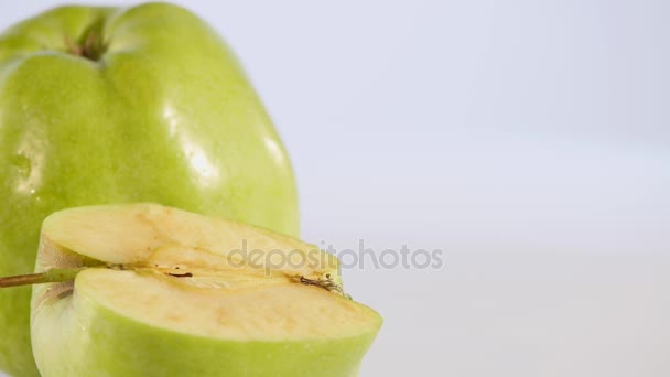 Manzanas de pasto sobre fondo blanco — Vídeo de stock