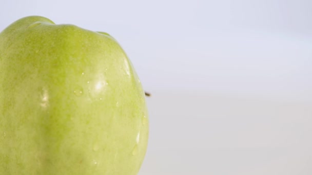 Grren äpplen på en vit bakgrund — Stockvideo