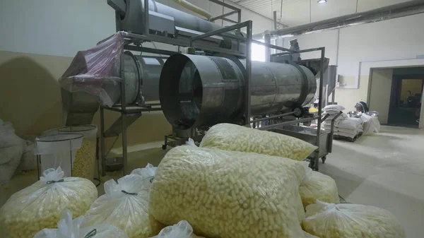 Producción de snacks y galletas en la fábrica — Foto de Stock