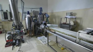 Fabrika üretim Mısır yapışır