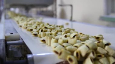 Çerezler üretim hattı gıda fabrikası'nda