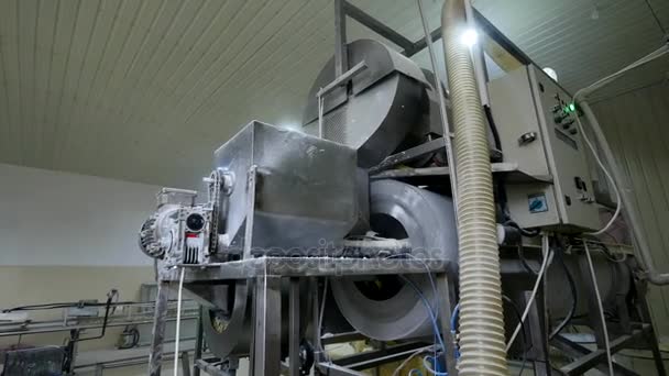Produção fabril de palitos de milho doce — Vídeo de Stock