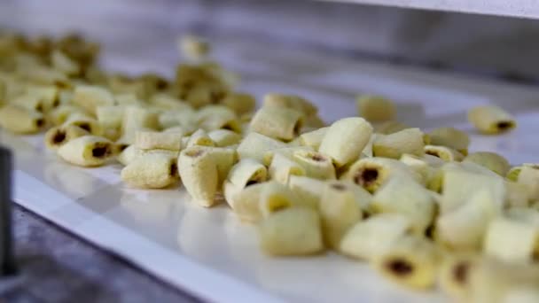 Producción de snacks y galletas en la fábrica — Vídeos de Stock