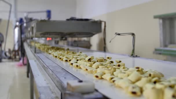 Producción de snacks y galletas en la fábrica — Vídeos de Stock