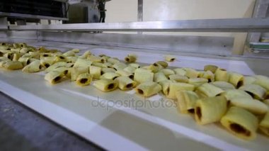 Çerezler üretim hattı gıda fabrikası'nda