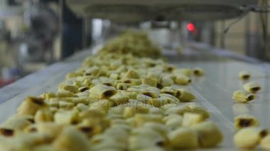 aperatifler ve çerezler üretim Fabrikası'nda