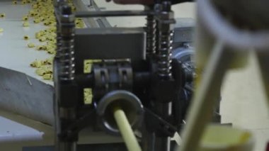 aperatifler ve çerezler üretim Fabrikası'nda