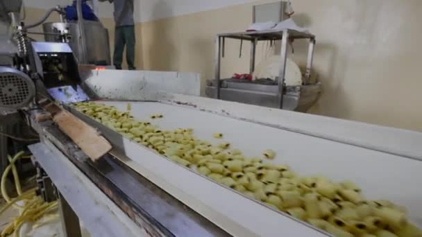 Producción de snacks y galletas en la fábrica — Vídeo de stock