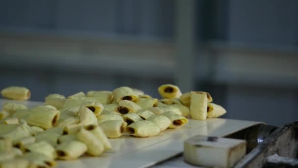 Snacks och kakor produktionen på fabriken — Stockvideo