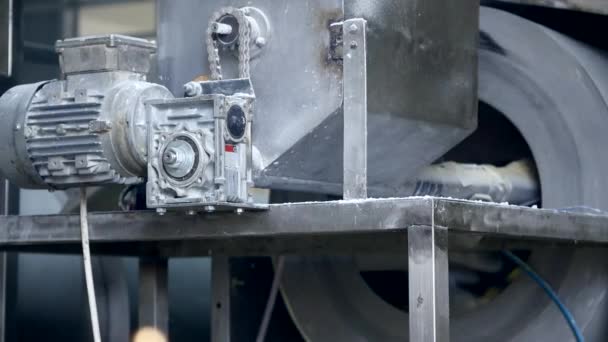 Καλαμπόκι sticks εξοπλισμός εργοστάσιο επεξεργασίας — Αρχείο Βίντεο