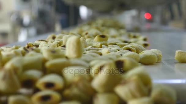 Producción de snacks y galletas en la fábrica — Vídeos de Stock