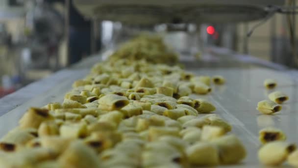 Σνακ και μπισκότα παραγωγής στο εργοστάσιο — Αρχείο Βίντεο