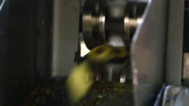 Çerezler üretim hattı gıda fabrikası'nda — Stok video