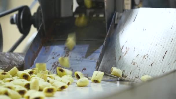 Producción de bocadillos de maíz dulce en fábrica — Vídeos de Stock