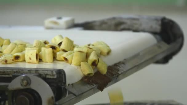 Soubory cookie výrobní linky v továrně potravin — Stock video