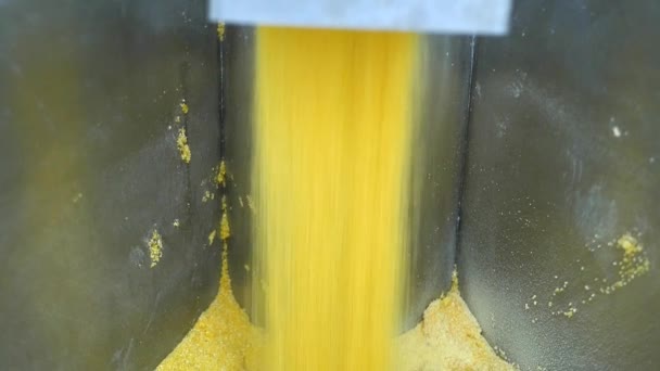 Farina di mais, fabbrica per la produzione di corn flakes — Video Stock