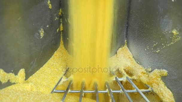 Farina di mais, fabbrica per la produzione di corn flakes — Video Stock