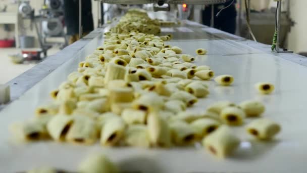 Linha de produção de cookies em uma fábrica de alimentos — Vídeo de Stock