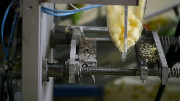 Automatische verpakkingsmachine in de fabriek — Stockvideo