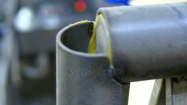 Farine de maïs, usine de production de flocons de maïs 