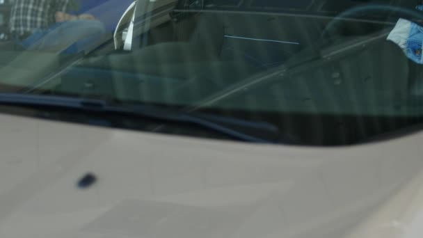 幸福的女人驱动程序显示的车钥匙，斜倚在车门 — 图库视频影像