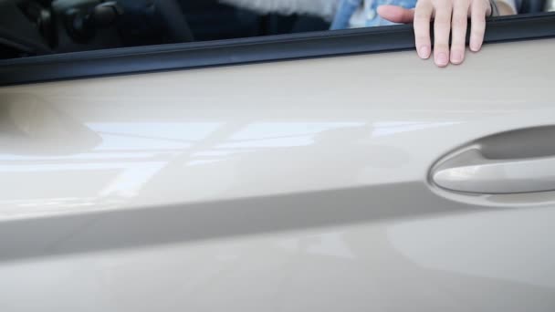 Bonita mulher sentada no carro e ouvindo vendedor no centro de automóveis. movimentos lentos — Vídeo de Stock