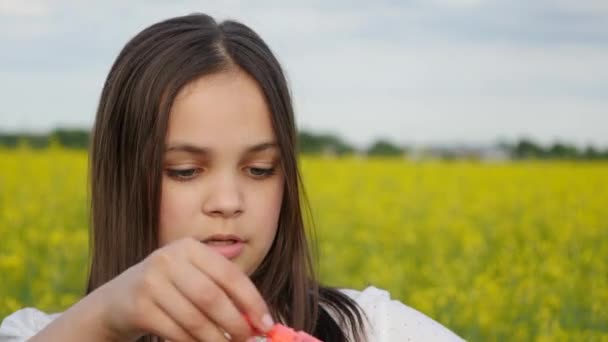 Niña feliz jugando entre burbujas de jabón en el prado verde en verano — Vídeo de stock