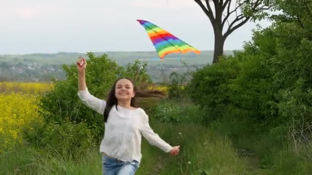 Ребенок бежит по лугу с воздушным змеем — стоковое видео