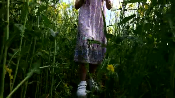 Маленька дівчинка в сукні, що проходить через жовте пшеничне поле з кульками в руці — стокове відео