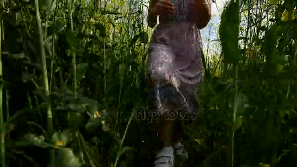 malá holčička v šatech běží přes žluté pšeničné pole s bublinami v ruce