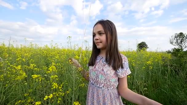 Liten flicka i en klänning som löper genom gula vetefält med ballonger i handen. Slow motioner — Stockvideo